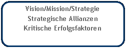Abgerundetes Rechteck: Vision/Mission/StrategieStrategische AllianzenKritische Erfolgsfaktoren
